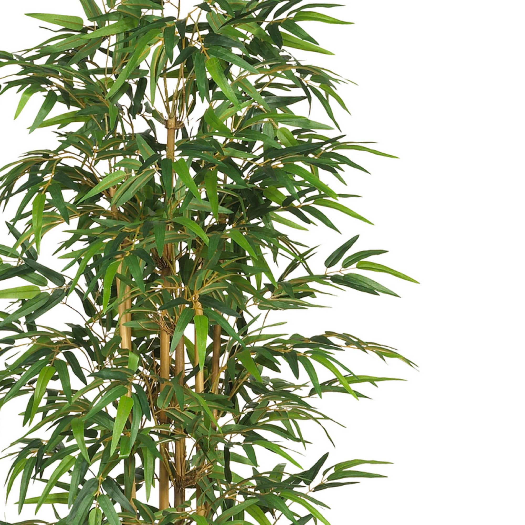 6ft. Potted Bamboo Silk Tree
